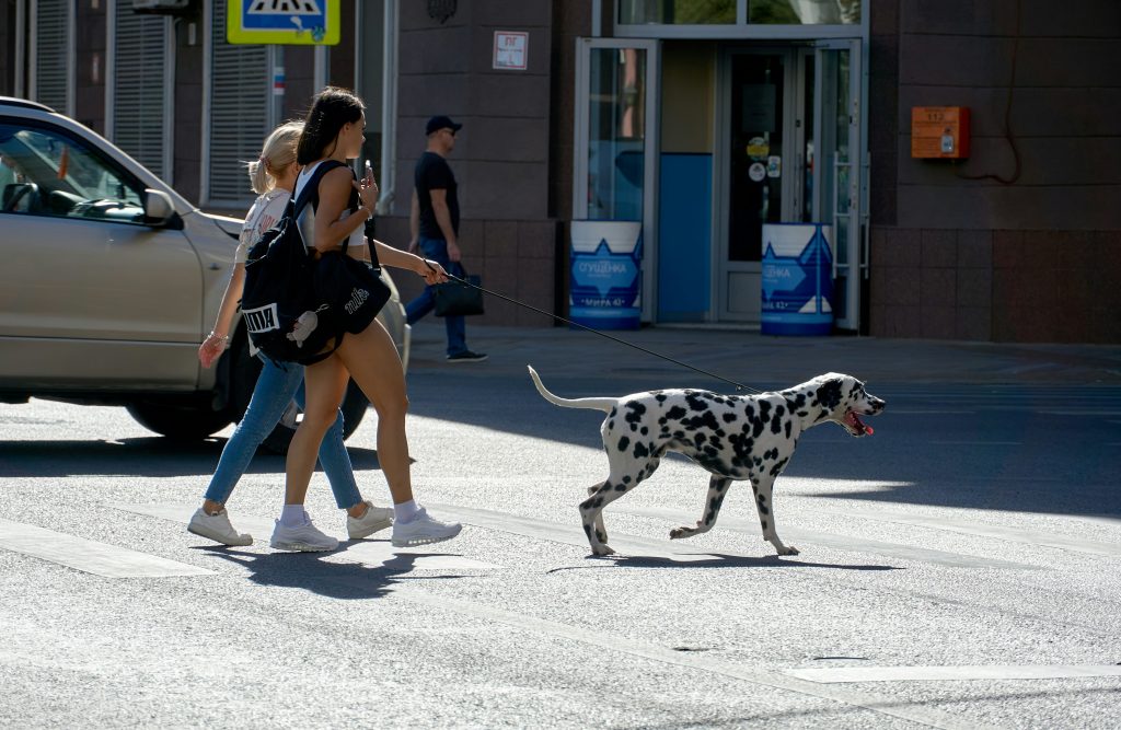 English Teaching Assistant Spain dog friendly Madrid parks Retiro